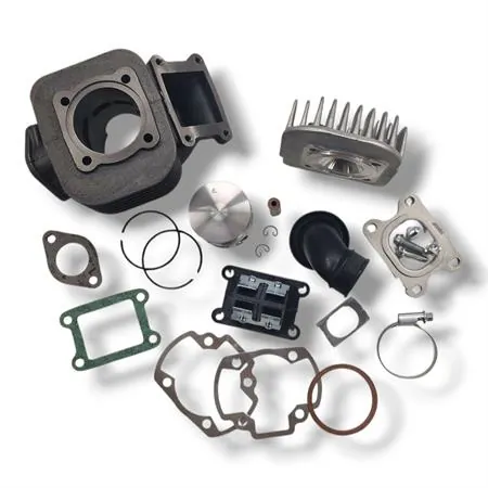 166.0074/E Motore gruppo termico Polini Evolution ghisa 70 cc diametro 47 mm corsa 39,2 bi-fascia spinotto 10 mm per motori Minarelli verticale Mbk Booster Spirit tutte le versioni
