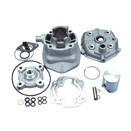 Motore gruppo termico diametro 40,2 mm e cilindrata 50 cc modello Polini Evolution 2 per Minarelli orizzontale con raffreddamento a liquido, ricambio 166009710