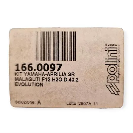 166.0097 Motore gruppo termico Evolution 2 mimarelli orizzontale  lc  sp.12 (Polini)