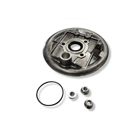 Piatto porta ceppi posteriore Polini specifico per Piaggio Vespa 50 special e 125 primavera, 125 Et3 , ricambio 1700501