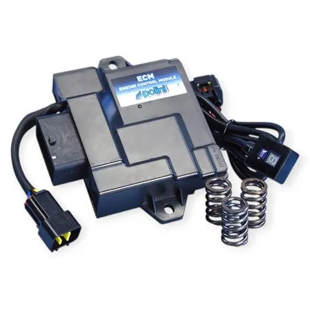 Centralina ECM Polini 1710022 con 3 Molle Valvola per Aprilia SXR 50 4T Euro 5 – Ricambio Performance Plug&Play