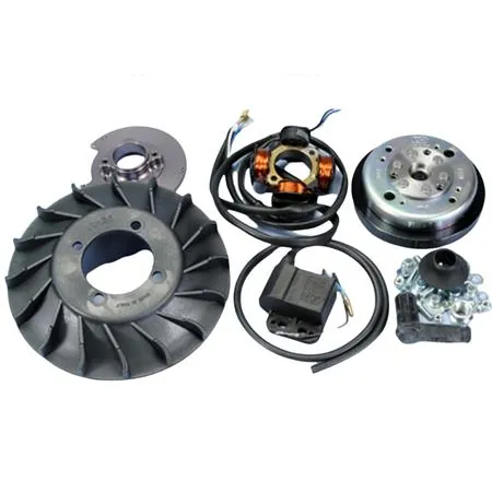 Accensione a rotore Polini per Vespa PX-pe 125/150/200 senza avviamento elettrico, ricambio 1710549