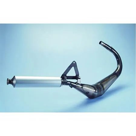 Marmitta Polini Evolution per hm cre50 dal 2001 al 2002, ricambio 2000224