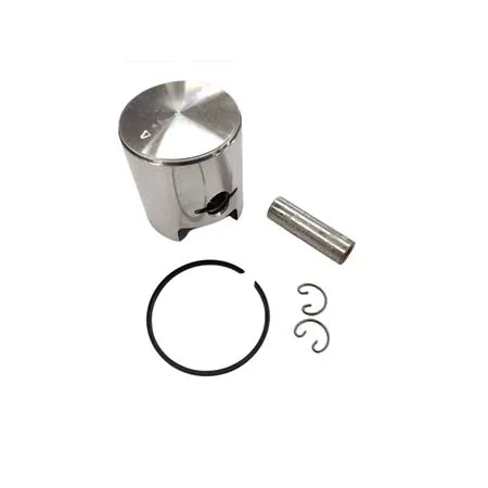 204.0001/C Pistone Polini per motori Minarelli p6 monofascia con diametro 48 mm e selezione C e misura reale 47,955 mm per cilindri radiali cromati