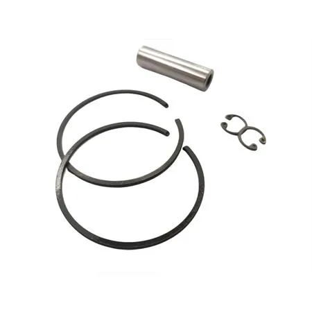 204.0400 Pistone Ciao, Si diametro 46 spinotto diametro 10 mm (Polini)