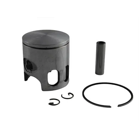 Pistone diametro 47.6 spinotto 10 monofascia per gruppo termico Polini Evolution selezione b, ricambio 2040770B