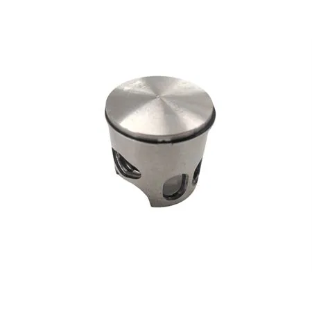 Pistone diametro 47.6 spinotto 12 monofascia per gruppo termico Polini Evolution selezione a, ricambio 2040773A