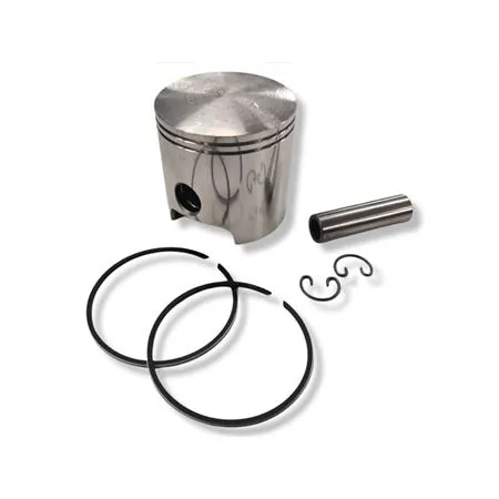 204.0820 Pistone Derbi senda diametro 50 mm per cilindro i (Polini)
