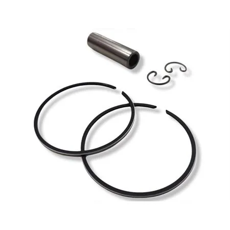 204.0820 Pistone Derbi senda diametro 50 mm per cilindro i (Polini)