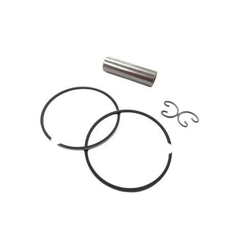 204.0824 Pistone Derbi senda diametro 50.4 mm per cilindro (Polini)