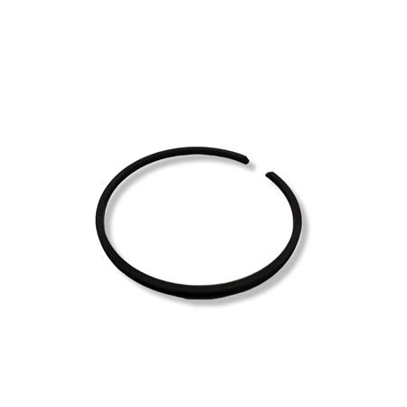 Segmento d.41,8x1,5, ricambio 2060048