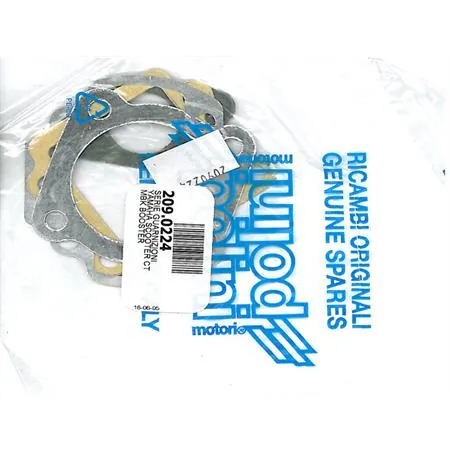 Guarnizioni smeriglio Polini diametro 47 mm, ricambio 2090224