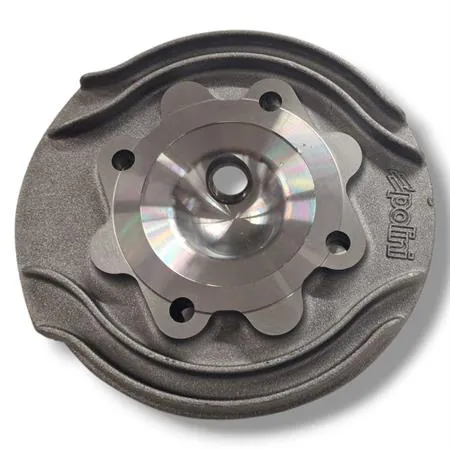 Testa Polini per Vespa Primavera-ET3-PK-ets-xl, ricambio 2110005