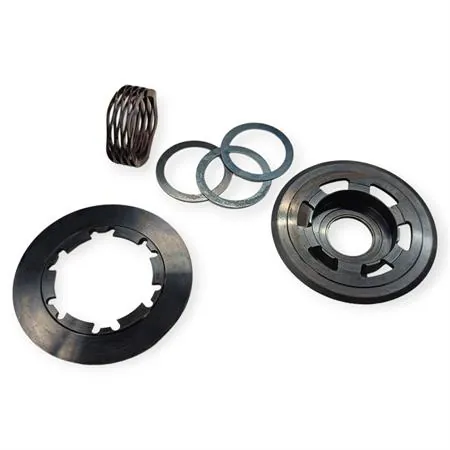 Kit friz.molla wave vespa 50-125, ricambio 2300504