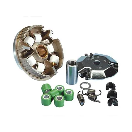 Variatore Speed control (Polini), ricambio 241301