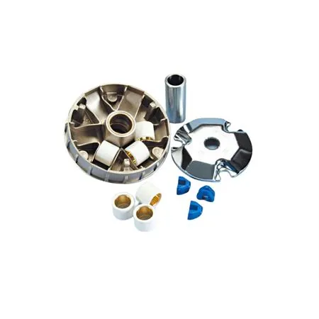 Variatore speed control (Polini)