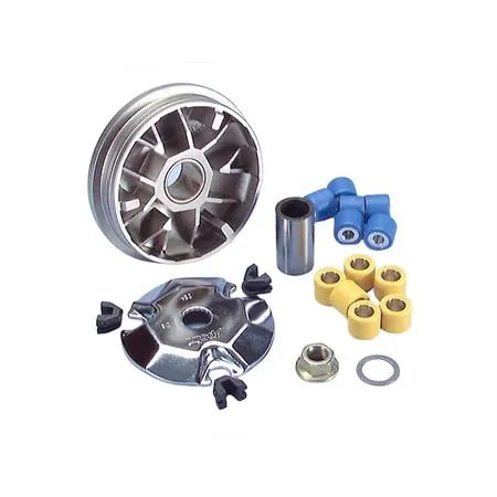 Variatore speed control (Polini)