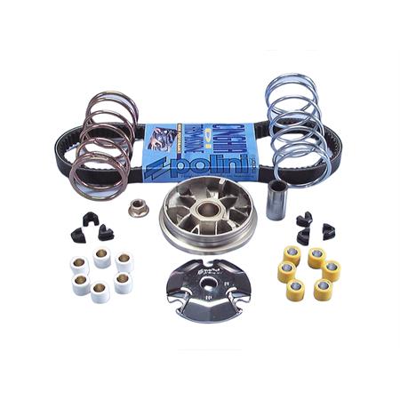 Variatore speed control Piaggio zip quartz sfera (Polini), ricambio 2414601