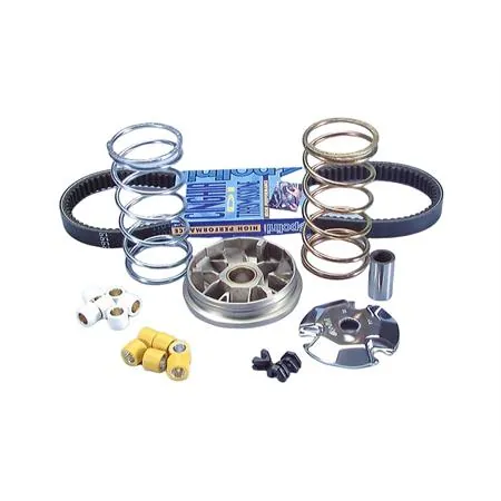 Variatore speed control (Polini)
