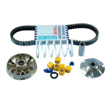 Variatore speed control (Polini), ricambio 2415611
