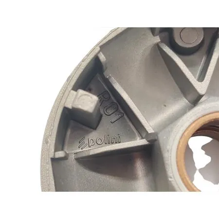 241.561.2 Variatore speed control (Polini)