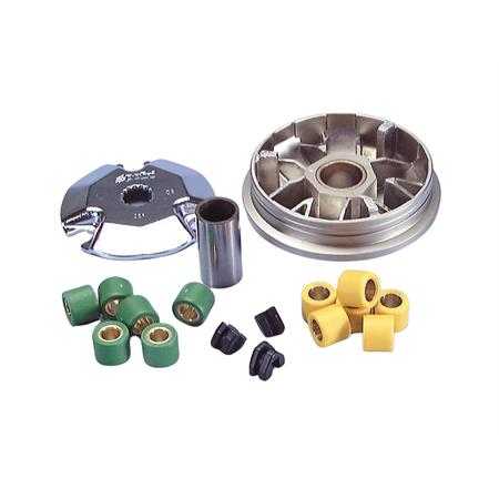 Variatore speed control (Polini), ricambio 241570