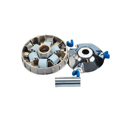 Variatore speed control (Polini), ricambio 241613