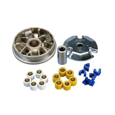 Variatore speed control (Polini), ricambio 241632