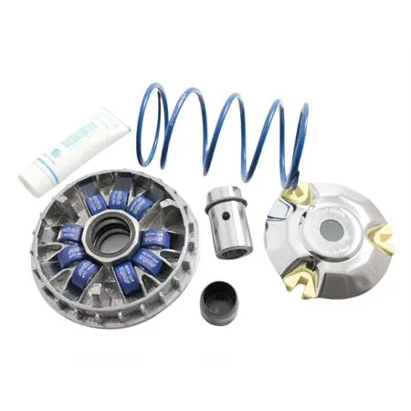Variatore Piaggio 200-250-300 9 rulli (Polini), ricambio 241665