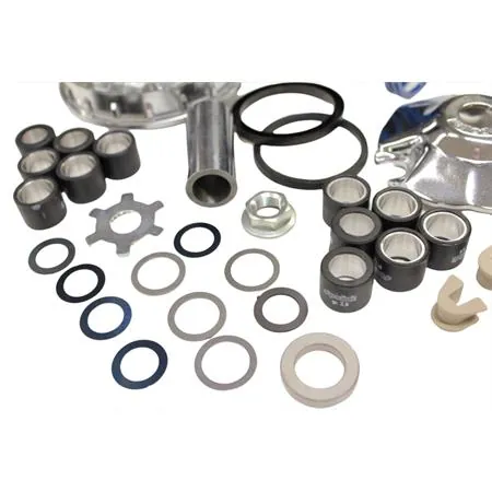 241.728 Variatore Polini hi-speed evolution R02 per scooter con motore minarelli verticale e orizzontale e asse albero liscia e diametro 16 mm