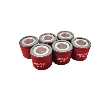 241.742 Variatore Polini hi-speed per maxi scooter Sym Joymax e Cruisym 250 e 300 cc 4 tempi
