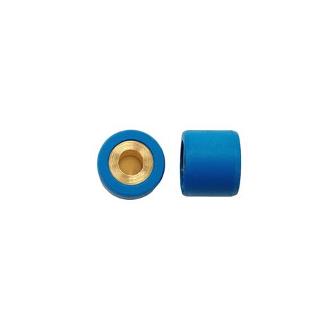 Kit rulli variatore 16x13 colore azzurro peso grammi 10 interno ottone (Polini), ricambio 242062