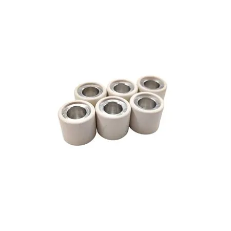 242.093 Rulli variatore 19x17 grammi 7.2 oz.0.25 (Polini)