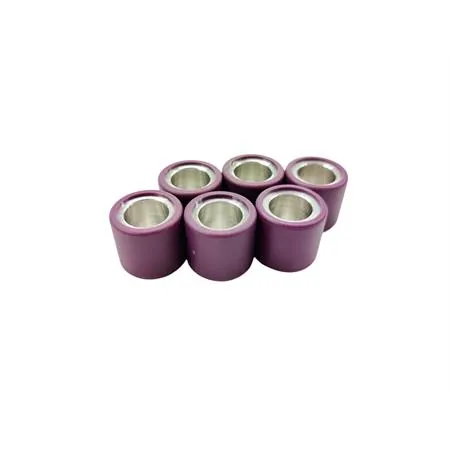 Rulli 19x17 g. 6.0 oz.0.204 (Polini), ricambio 242094