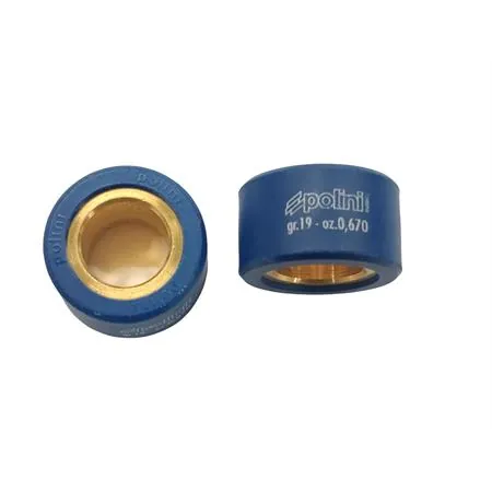 Rulli variatore Polini diametro 25x14.8, ricambio 242223