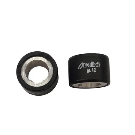 Rulli variatore Polini con diametro 25 x 17 mm e peso 12,0 grammi, ricambio 242285