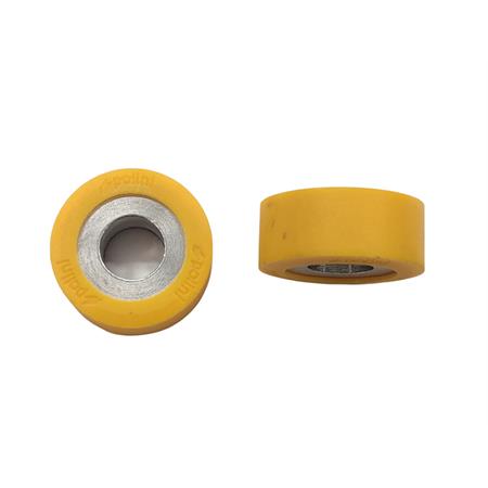 Rulli variatore 25x11 grammi 8.7 oz.0.30 (Polini), ricambio 242313