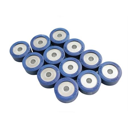 Rulli variatore 25x11 grammi 9.6 oz.0.33 (Polini), ricambio 242315