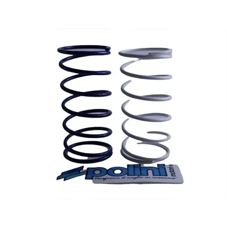 Kit molle Minarelli (Polini), ricambio 243050