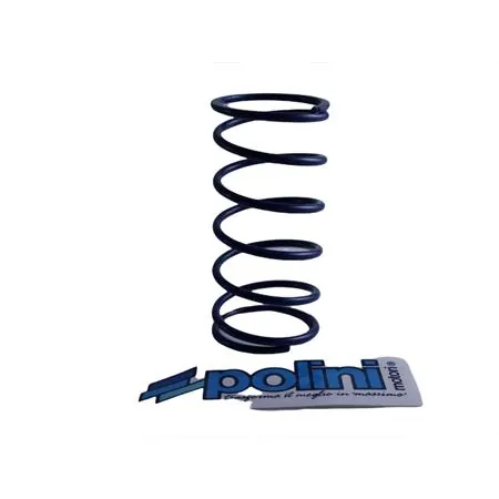 Molla Evolution (Polini), ricambio 243052