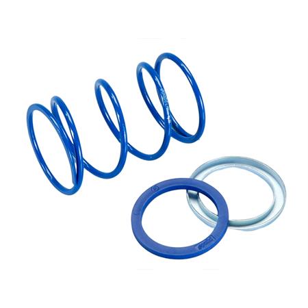 Molla di contrasto evo-slider Piaggio 20kg(Polini), ricambio 243090