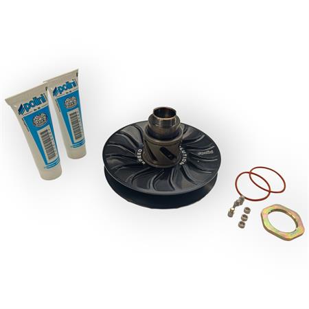 Kit puleggia cond.piaggio evol.pre, ricambio 2440584