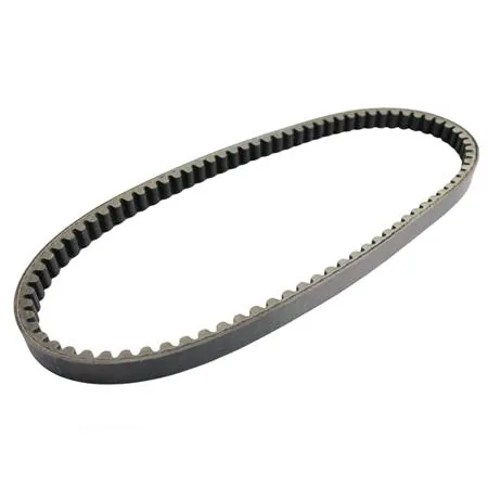 Cinghia di trasmissione Polini, ricambio 248011