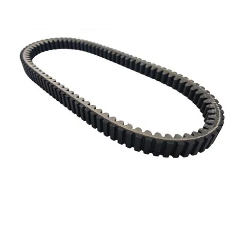 248.069 Cinghia di trasmissione Polini per variatore Maxi scooter Piaggio Vespa 250 e 300 cc