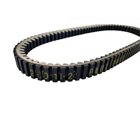 248.069 Cinghia di trasmissione Polini per variatore Maxi scooter Piaggio Vespa 250 e 300 cc