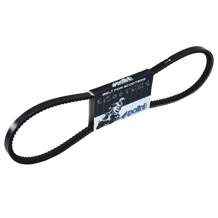 Cinghia di trasmissione dentata Polini per ciclomotori Piaggio ciao con variatore, ricambio 248113