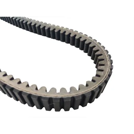 248.114 Cinghia di trasmissione Polini in Aramid per variatore maxi scooter Kymco Downtown 300 cc