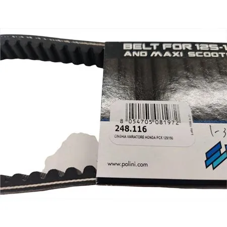 Cinghia di trasmissione Polini per variatore maxi scooter Honda PCX 125 e 150 cc, ricambio 248116