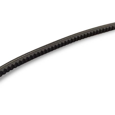 Cinghia variatore dentata Polini per ciclomotori Piaggio si con variatore, ricambio 248136