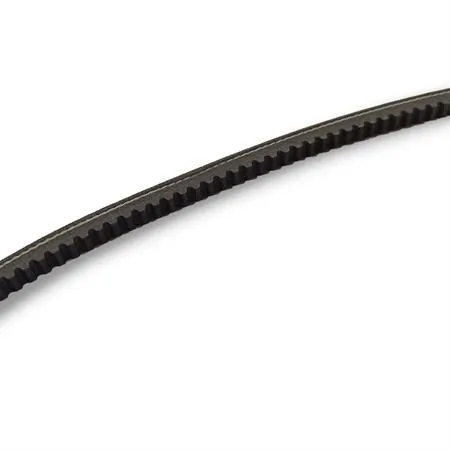 248.136 Cinghia variatore dentata Polini per ciclomotori Piaggio si con variatore